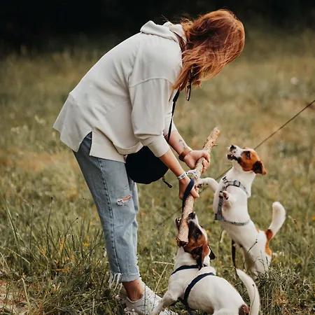 Placzewo 3* Starogard Gdański