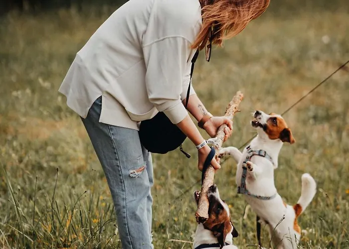 Placzewo 3* Starogard Gdański